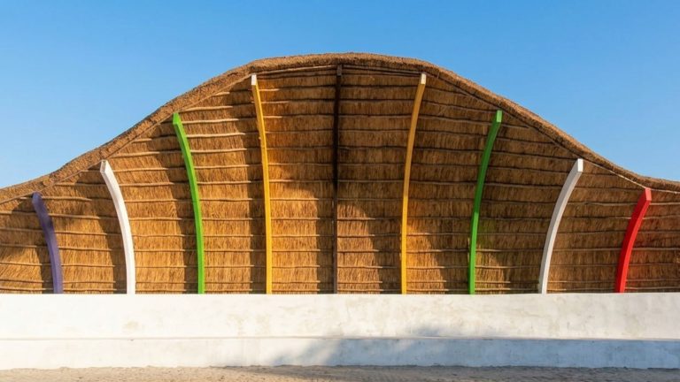 Home Contact Thatch Africa in Gqeberha, expert consultations for the Eastern Cape.