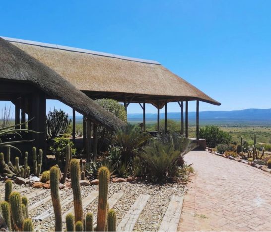 An open-air game reserve pavilion with a sweeping thatch roof overhang, integrated into a desert garden landscape overlooking a panoramic bushveld valley