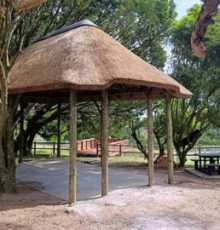 A freestanding outdoor entertainment lapa with a master-crafted thatch roof supported by sturdy timber poles, nestled under shaded garden trees